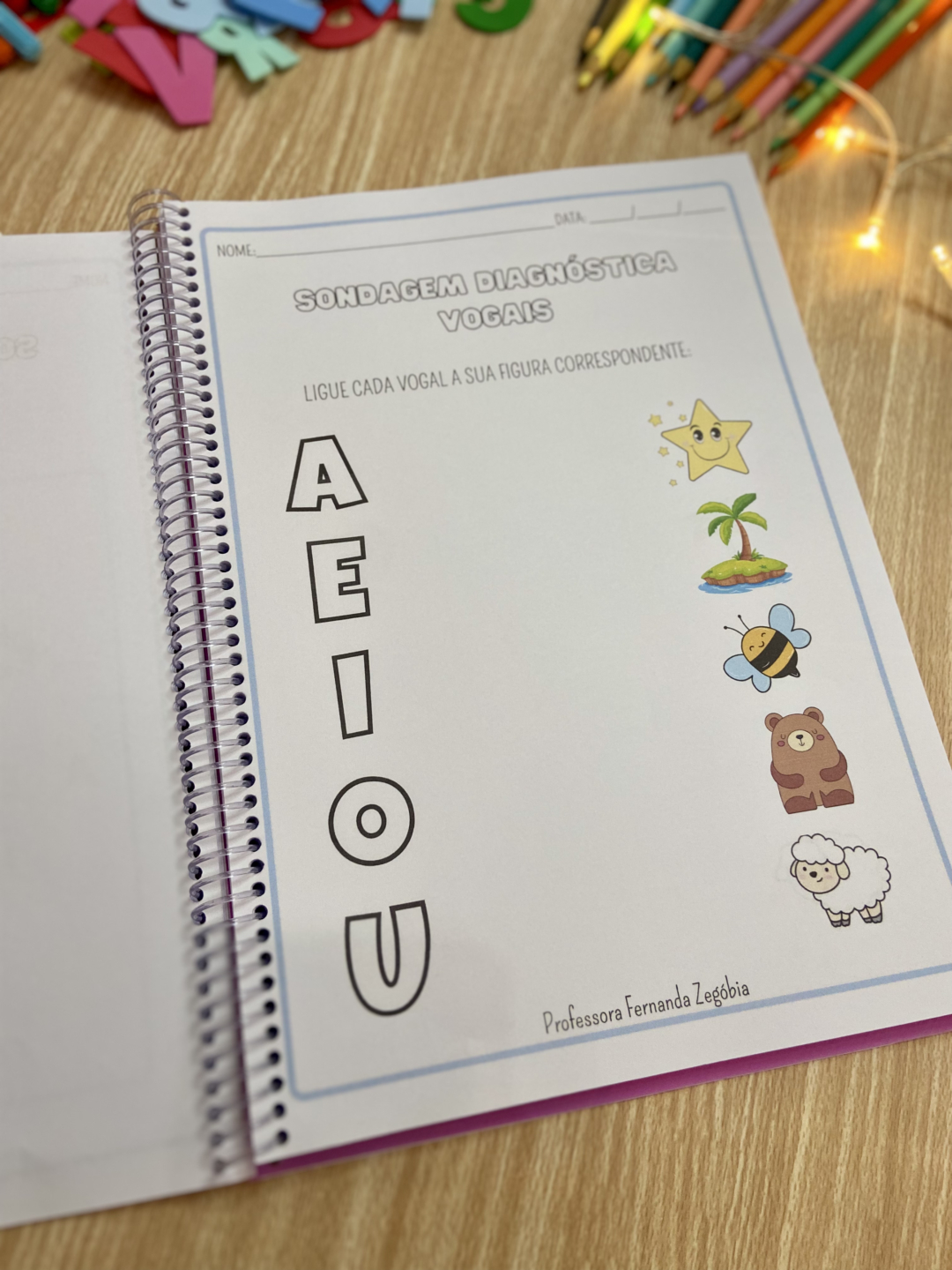 📋 Manual dos Relatórios + Bônus Exclusivos SONDAGEM DIAGNÓSTICA - Image 15
