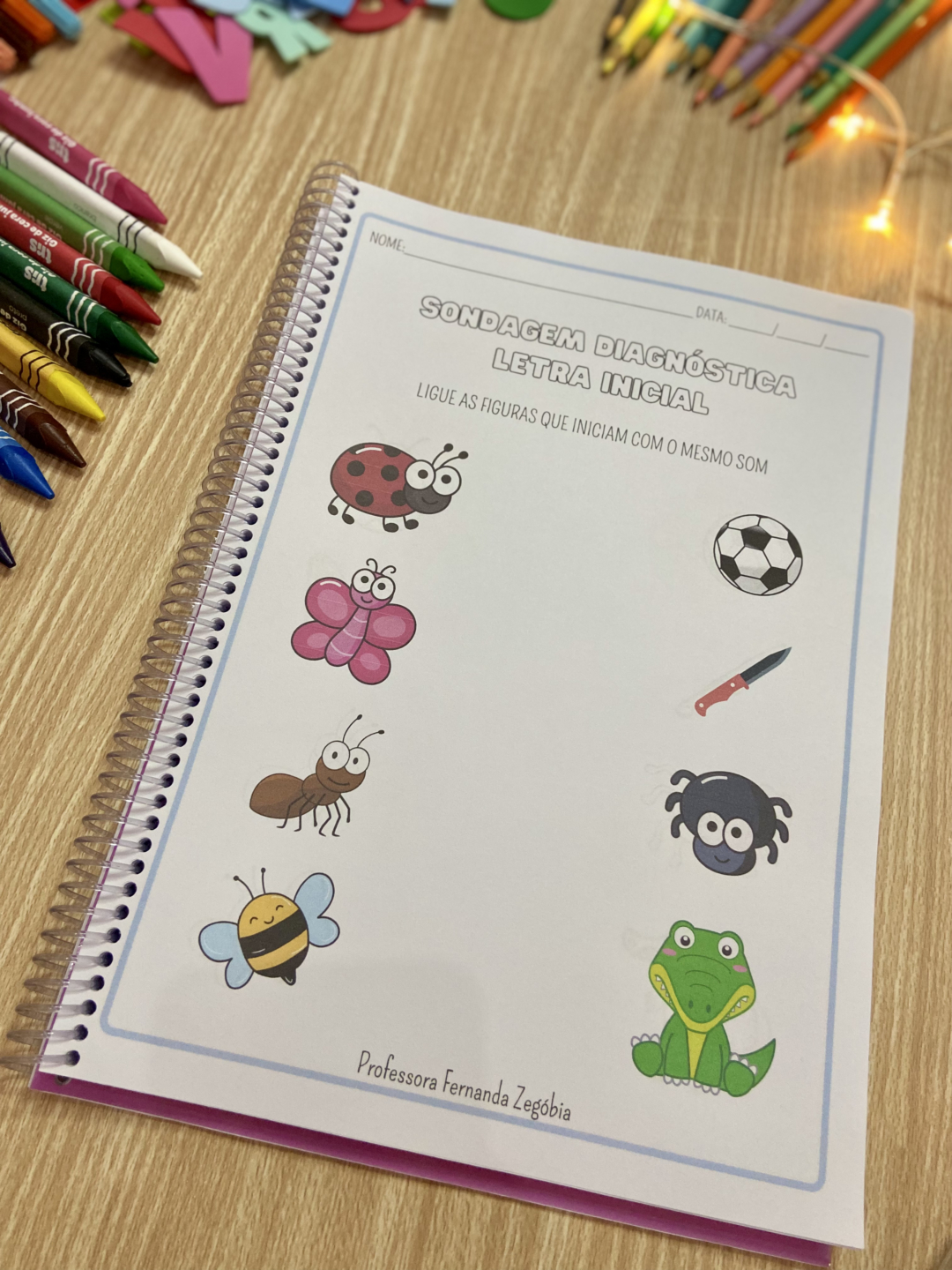 📋 Manual dos Relatórios + Bônus Exclusivos SONDAGEM DIAGNÓSTICA - Image 13